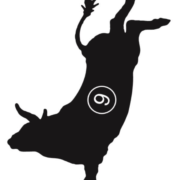 Circle 9 Cattle Company profile image