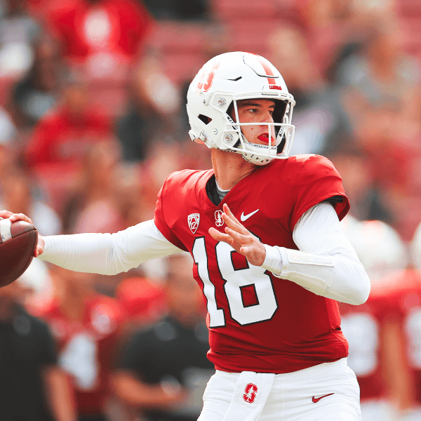 Tanner McKee profile image