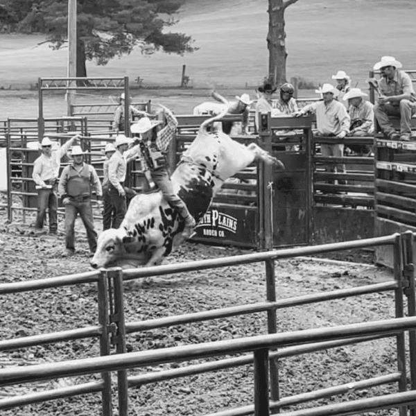 Caleb Crismore profile image