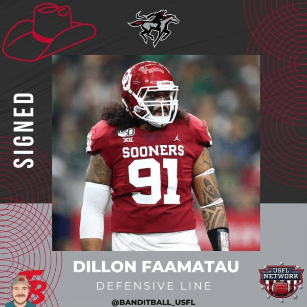 Dillon Faamatau profile image