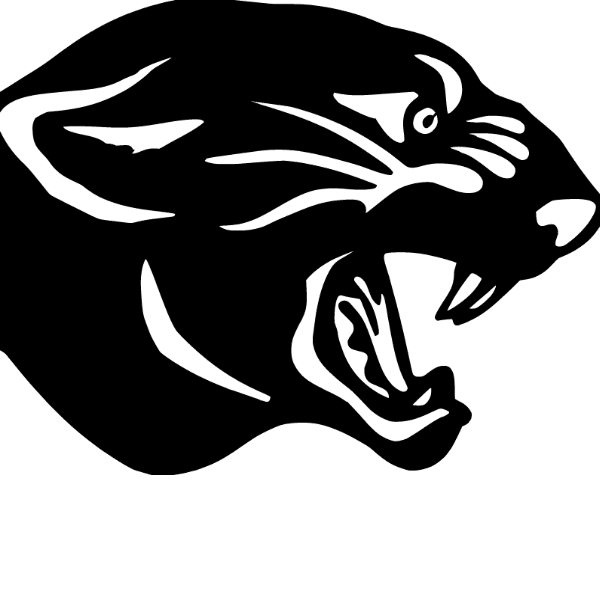 PARMA PANTHERS profile image
