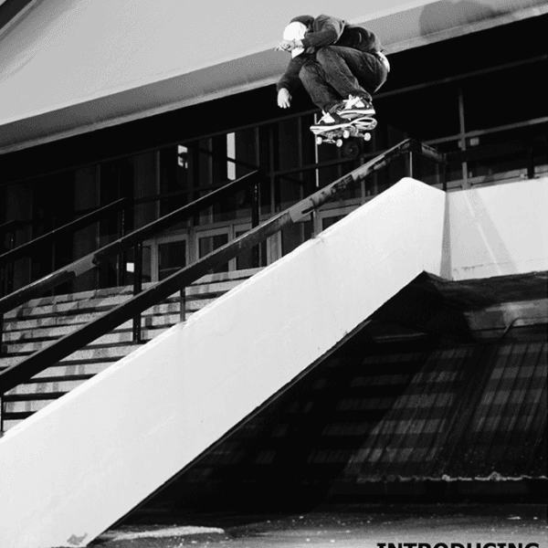 Sierra Fellers profile image