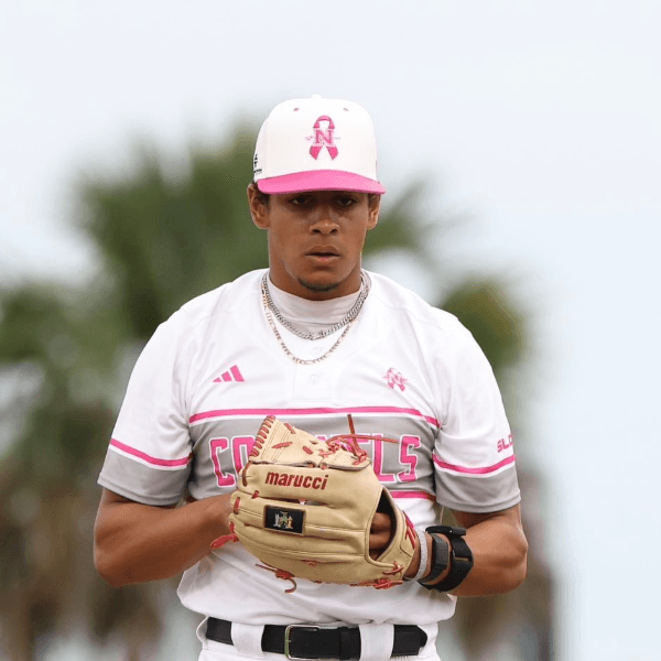 Nuno Parache profile image