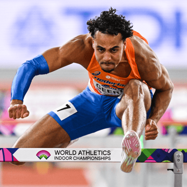 Job Geerds profile image