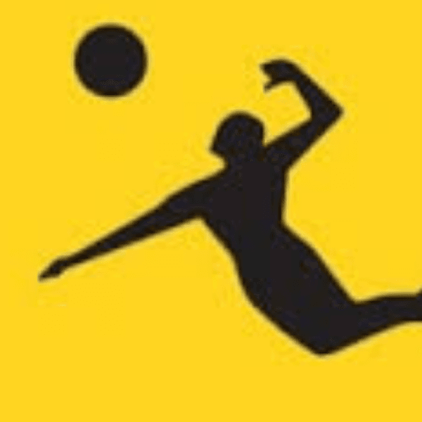 AVP Beach Volleyball Tour profile photo