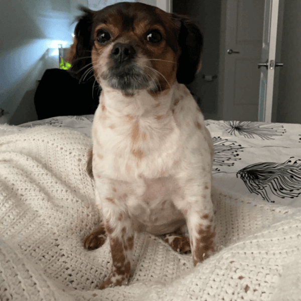 Abigail Phillips profile photo