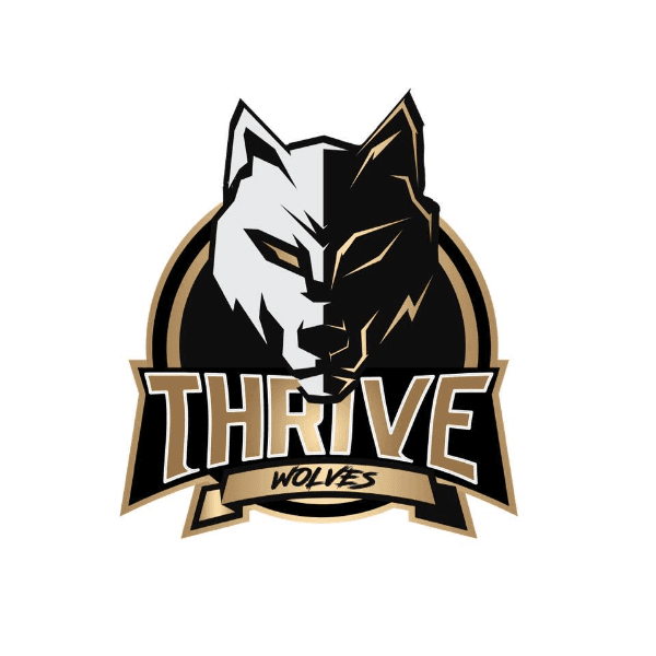 We Thrive Foundation profile image