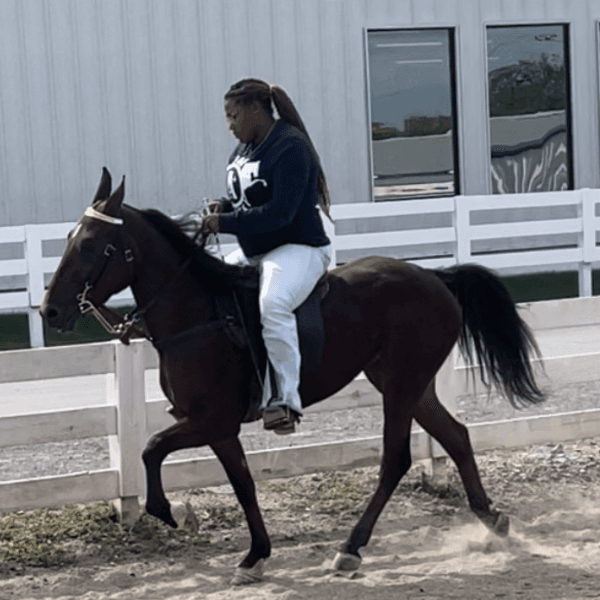 Alexis Pye profile image