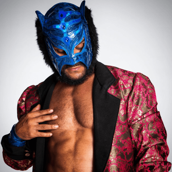 Lince Dorado profile image