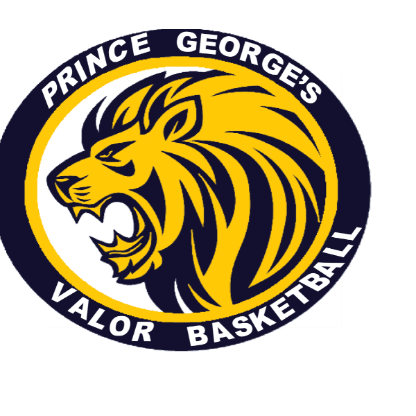 PG Valor Basketball Team profile image