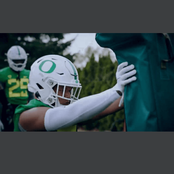 Jaden Navarrette profile image