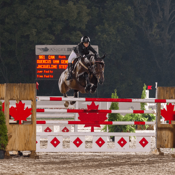 Jacqueline Steffens profile photo