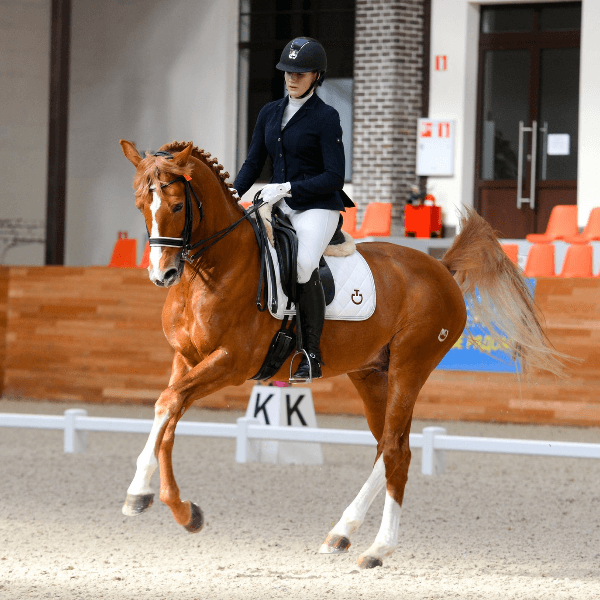 Elizaveta Anikeeva profile photo