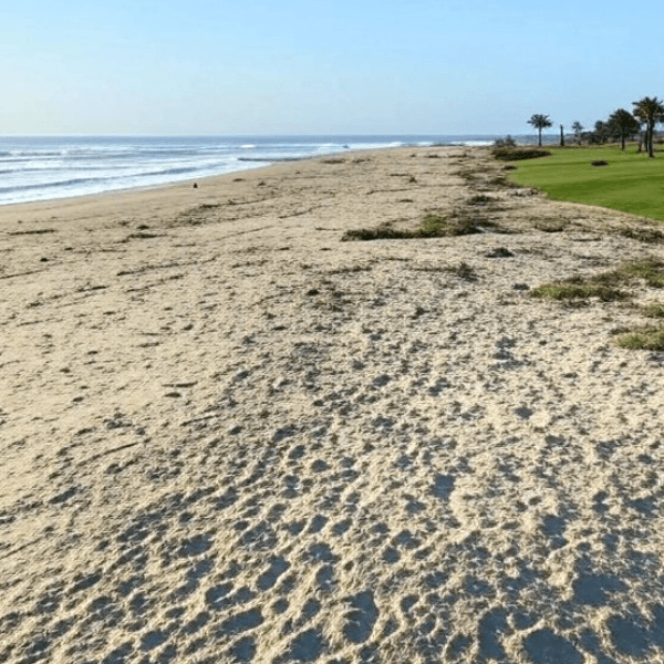 Spencer Vandenbos profile image