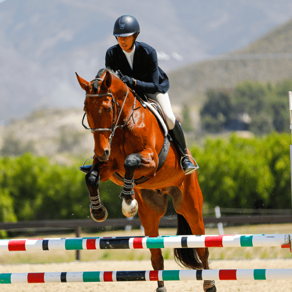 Kori K. Nakabayashi Harlan profile photo