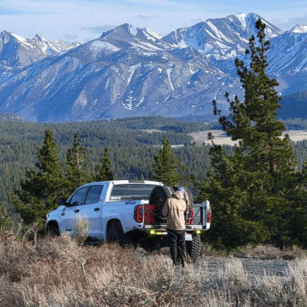 Buzz Holbrook profile image