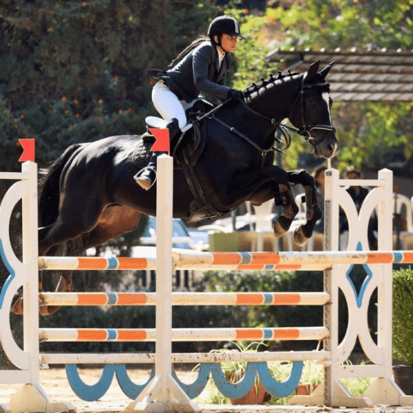 Tamara Zein profile image