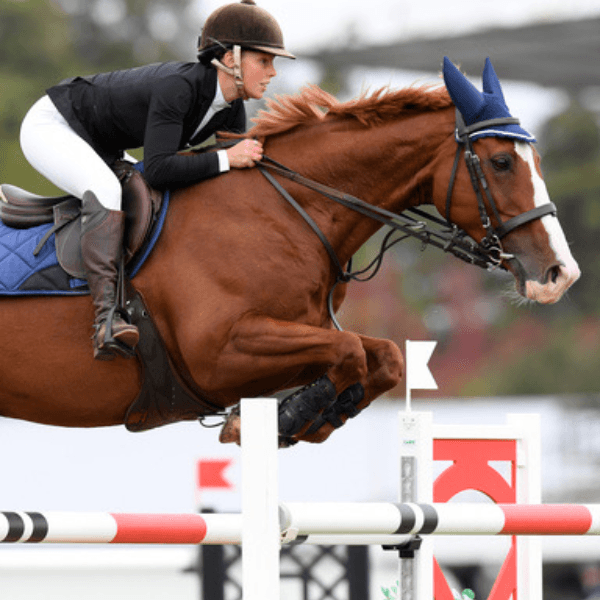 Hana Bognuda profile photo