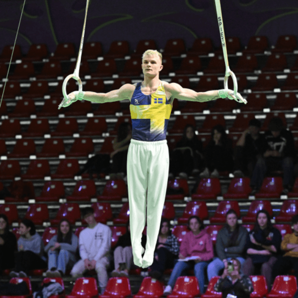 David Rumbutis profile image