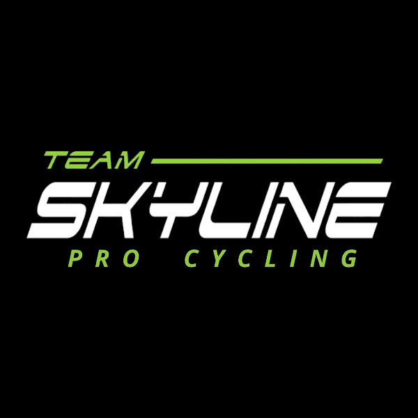 Team Skyline profile image