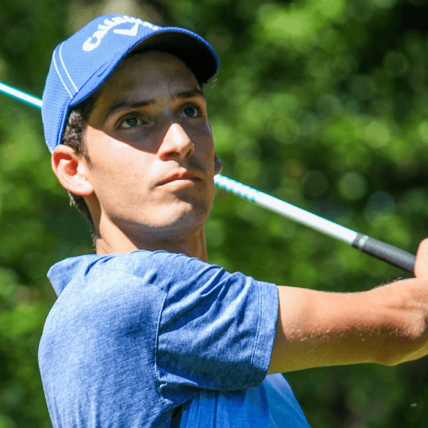 Michele Ortolani profile image