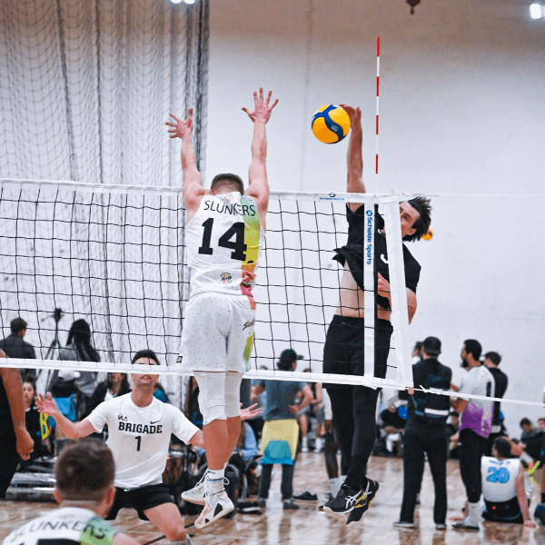 Mike LeGros profile image