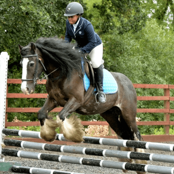 Ranee James profile photo