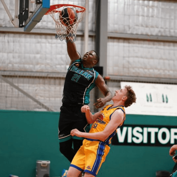 Arcaim Lallemand profile image