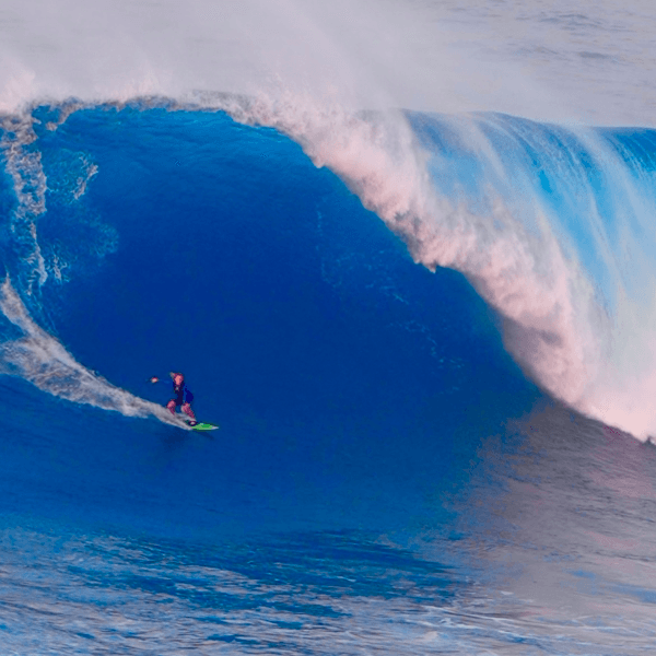 Ellie Brown profile image