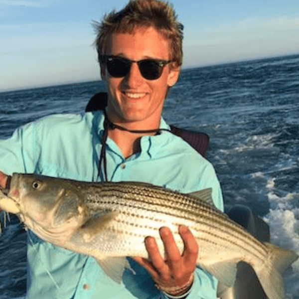 Pierre Reeves profile image