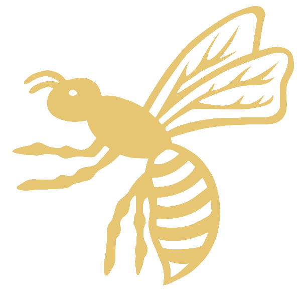 Wasps Ladies profile image