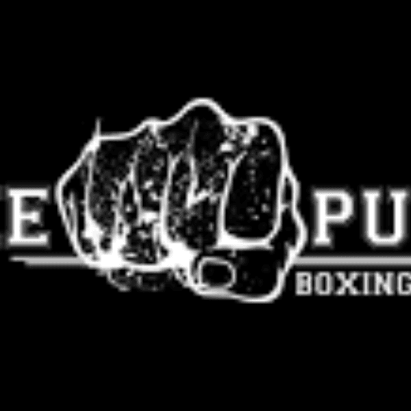 The Punch Boxing profile image