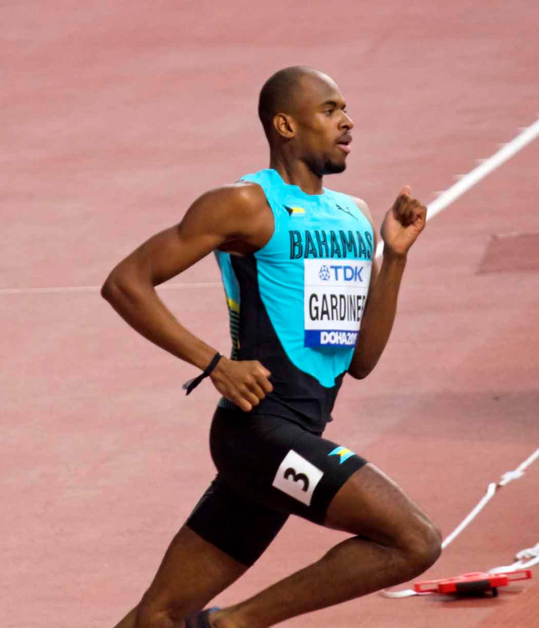 Steven Gardiner profile image