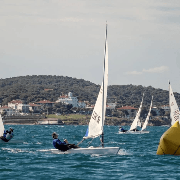 Dmytro Svishchov profile image