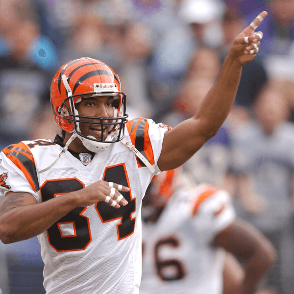 T.J. Houshmandzadeh profile image