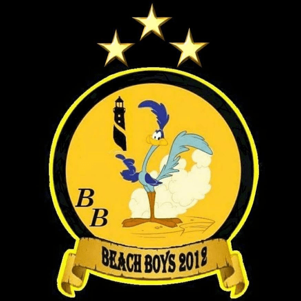 Beach Boys 2012 profile image