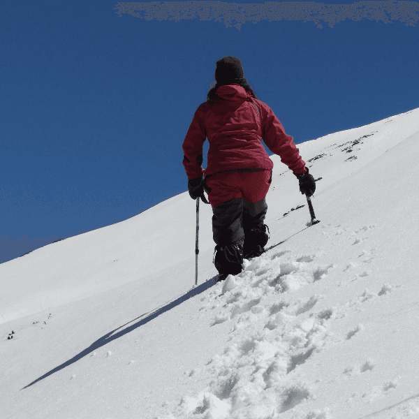 Ishani Sawant profile image