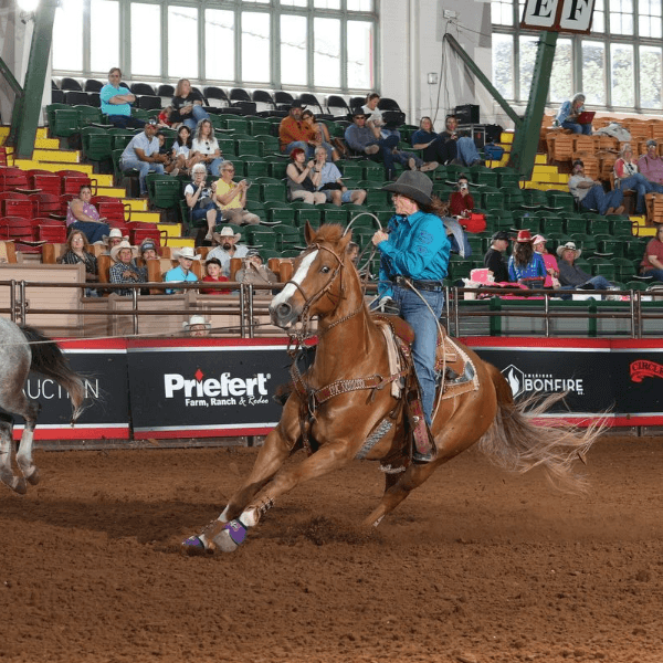 Brittney Steed profile photo